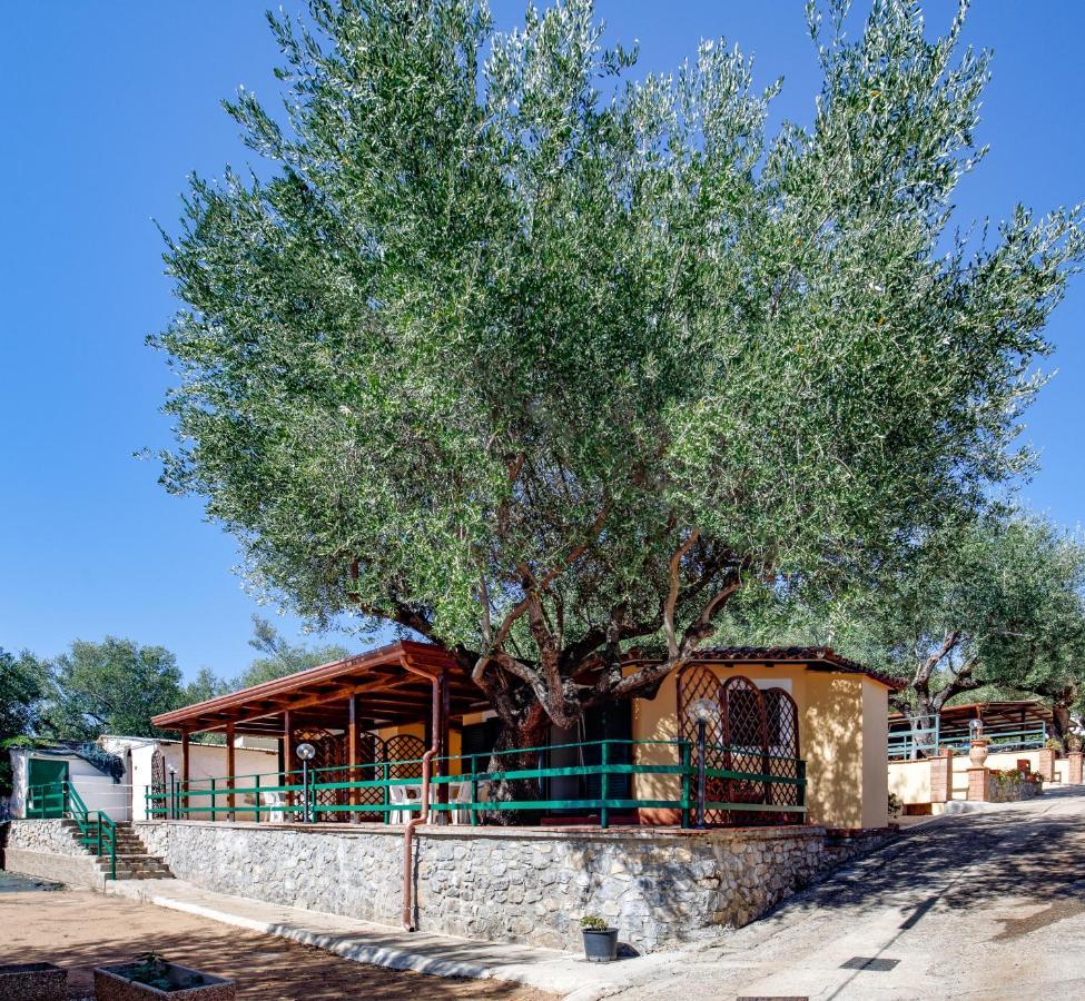 Villaggio Residence Pietra Grigia Marina di Camerota Exterior foto